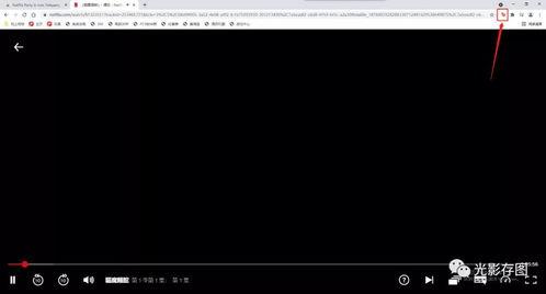 538国产线视频观看,538视角下的创新与突破