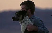 国产老年狗粮视频广告语