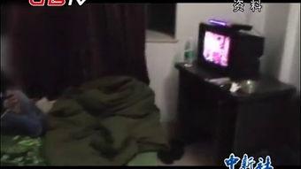 国产男同志I视频,展现多元情感与生活