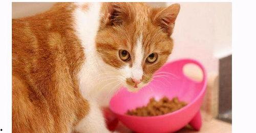 国产猫粮辨别好坏视频大全,视频大全揭秘