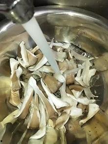 国产家常菜视频,跟随国产家常菜视频学做地道佳肴