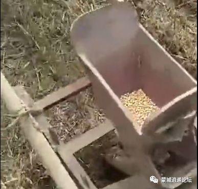 国产种地神器视频,革新农业生产的黑科技揭秘
