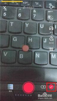 国产老虎抖音版视频下载,领略国宝风采，共赏自然之美